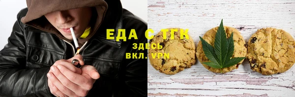 МДПВ Инсар