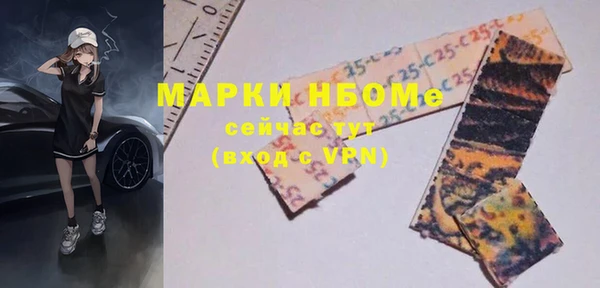 МДПВ Инсар