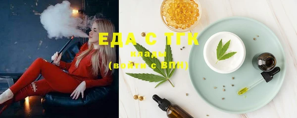 МДПВ Инсар