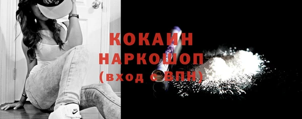 винт Инта