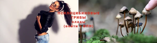 винт Инта