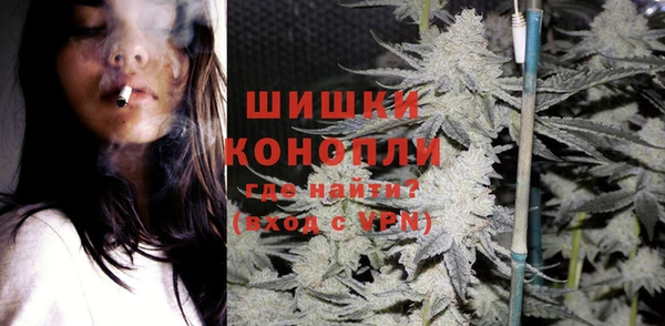 МДПВ Инсар