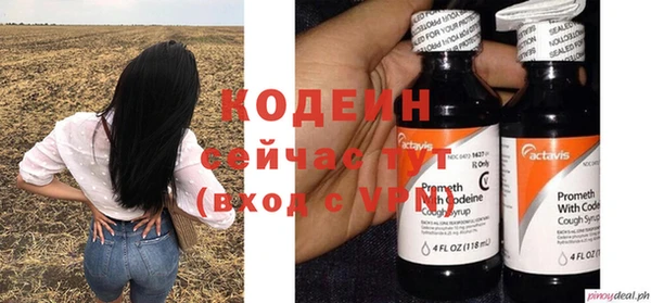 МДПВ Инсар