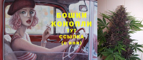 винт Инта