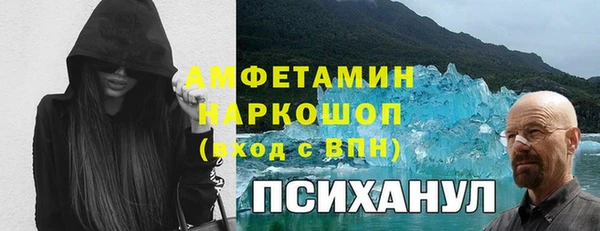 МДПВ Инсар