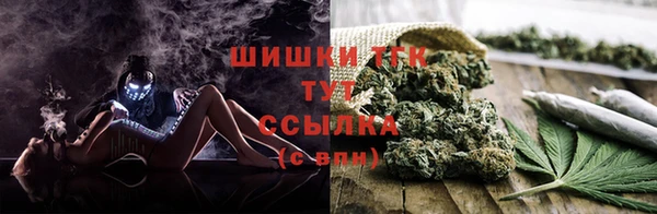 винт Инта