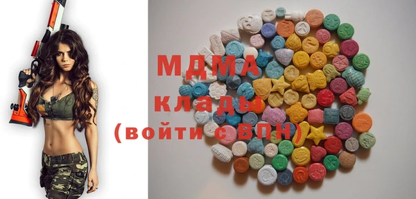 МДПВ Инсар