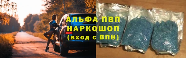 герыч Иннополис